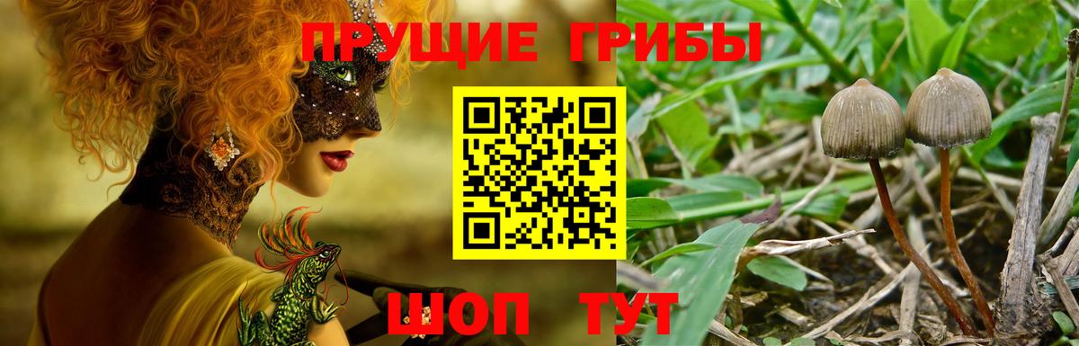 Галлюциногенные грибы Magic Shrooms Великие Луки