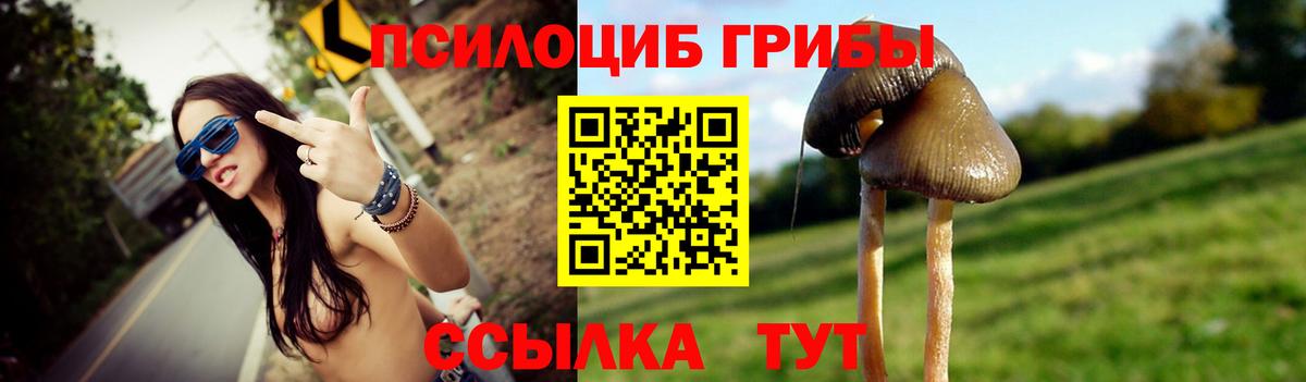 Псилоцибиновые грибы MAGIC MUSHROOMS  Вход с VPN  Великие Луки  Галлюциногенные грибы мицелий 
