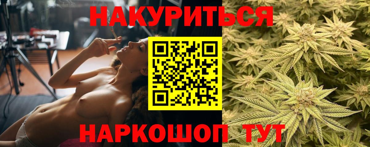 Бошки Шишки планчик Великие Луки